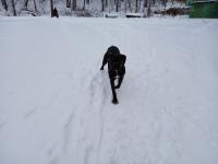 20250104_140958 (1024x768).jpg